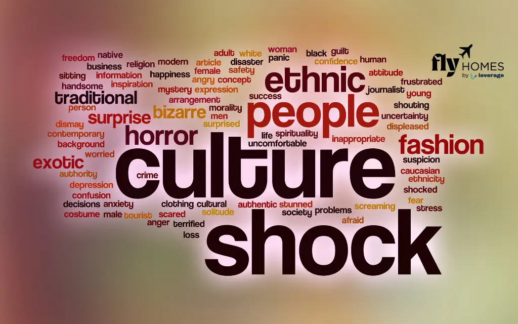 Culture Shock Examples in Japan